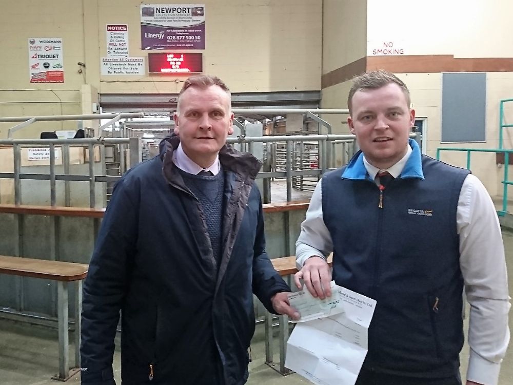 Wilsons of Rathkenny continue Ballymena Mart Partnership